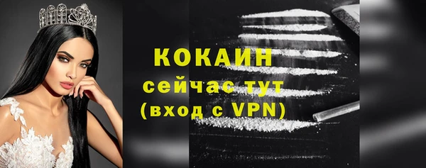 прущий лед Богородск