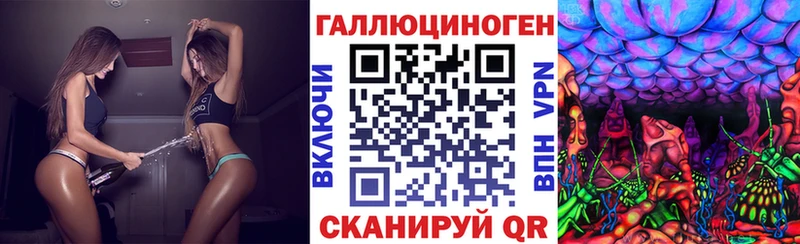 Галлюциногенные грибы прущие грибы  Торопец 
